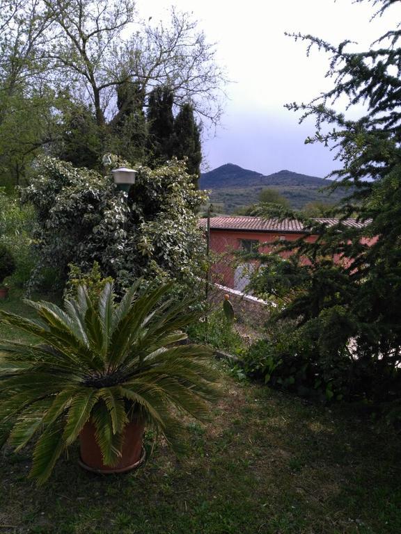Usurtala *