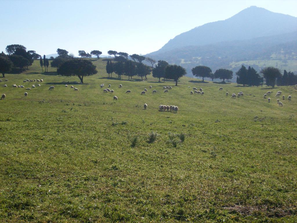 Usurtala Séjour à la ferme Orani